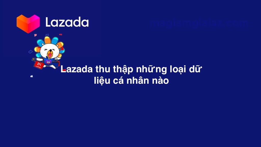 Lazada thu thập những loại dữ liệu cá nhân nào